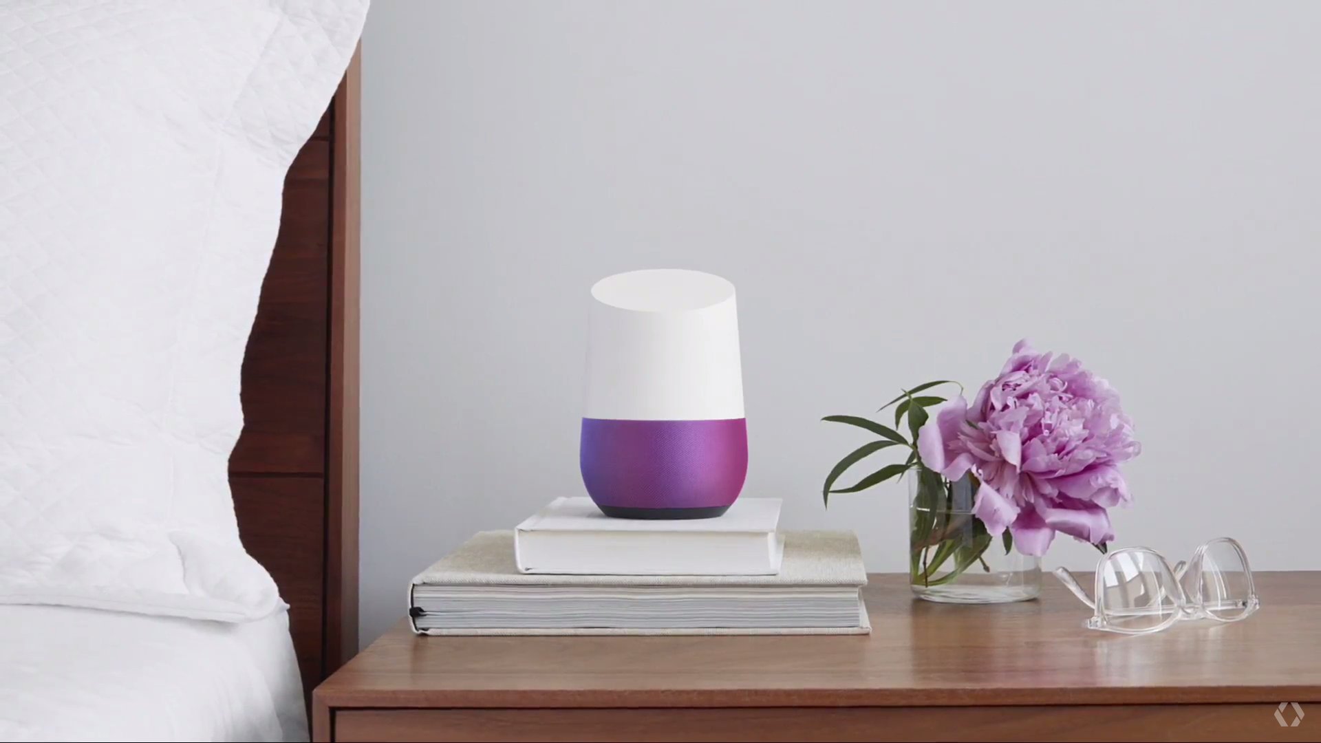 google home assistant
