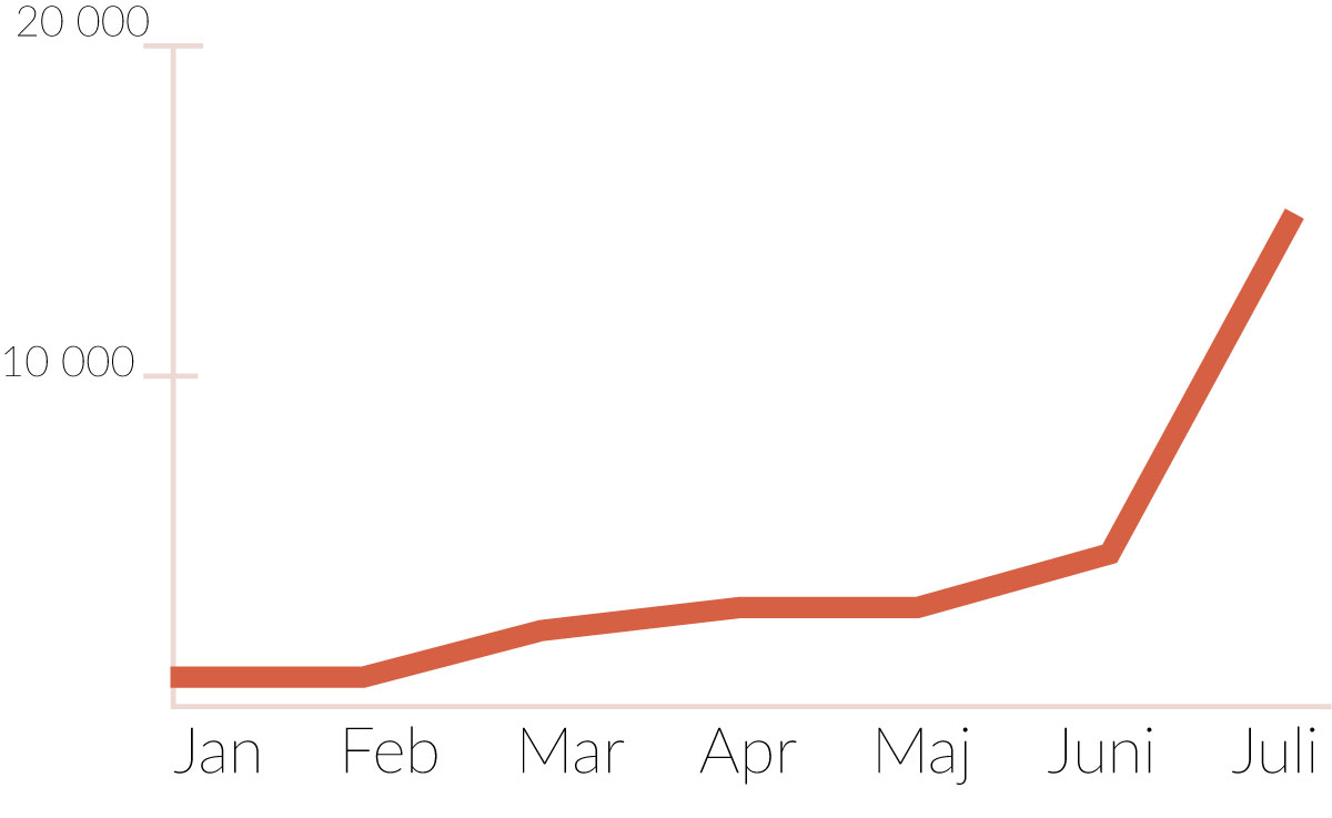 Graf månader användare besökare Teknifik 2016